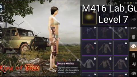 最新m4升级枪爆料,揭秘下一代战场利器